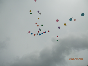 image-20260520180935-6.png